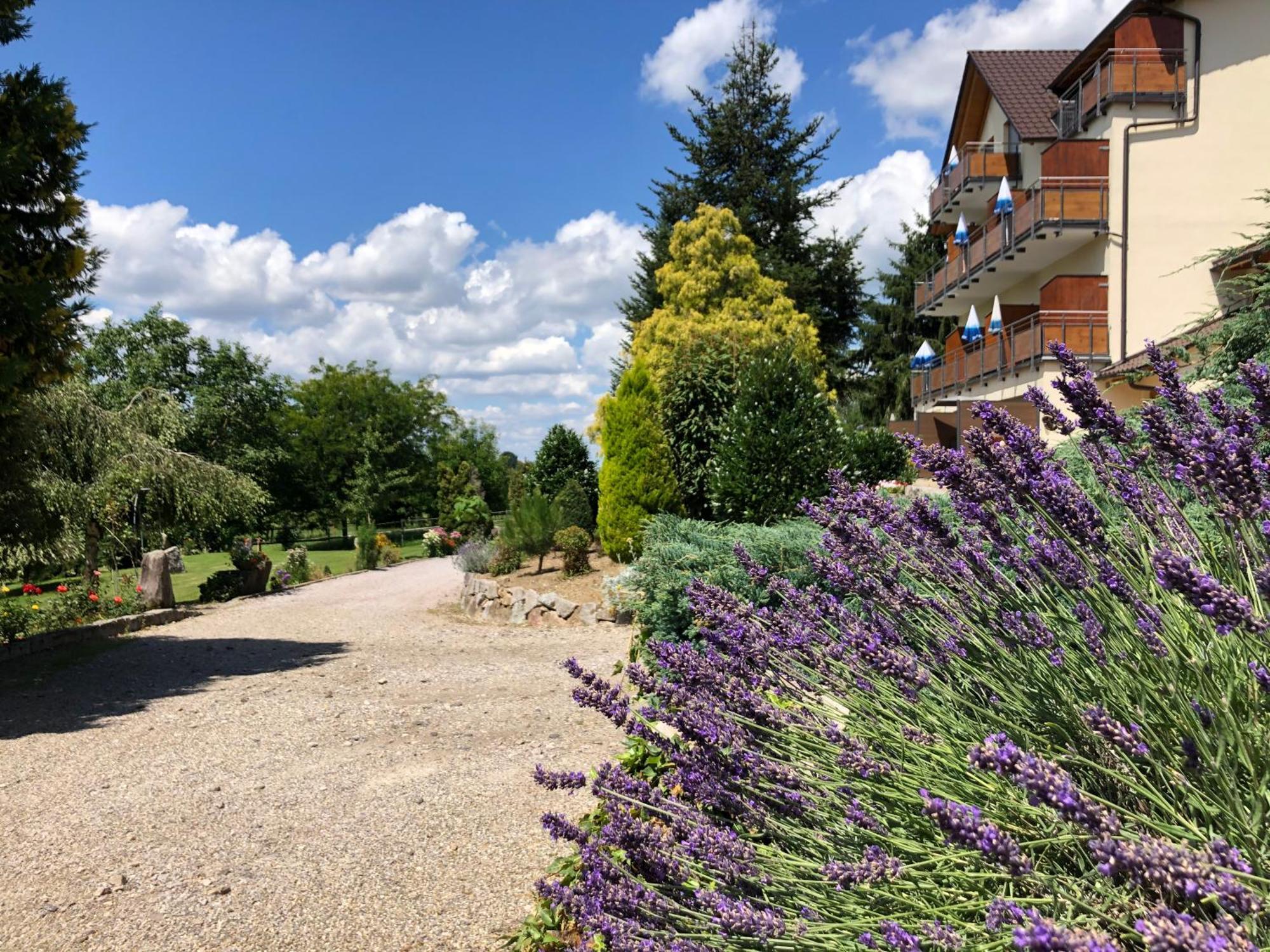 Hotel-Gasthof Rose โอเบอร์เคียร์ช ภายนอก รูปภาพ